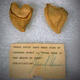 Illustration for article titled These were Leonard Nimoy's Spock ears in The Wrath of Khan